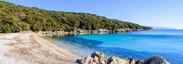 Apartment | 2 Schlafzimmer