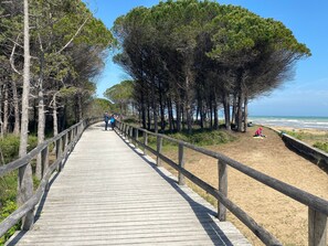 Apartamento, 1 quarto, varanda, vista para o jardim | Praia