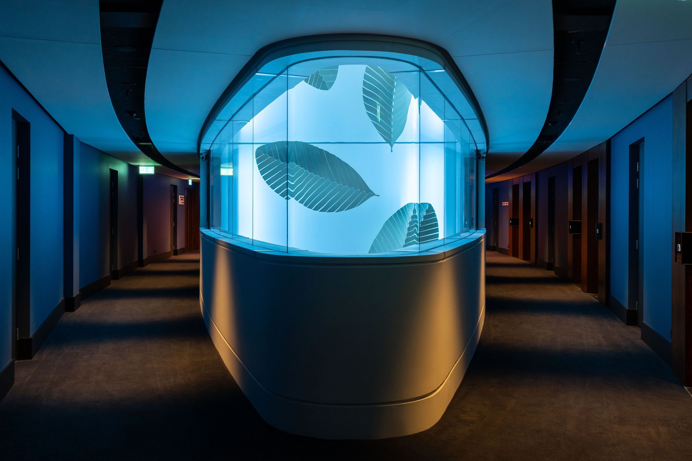 Photo - Horizon by SkyCity