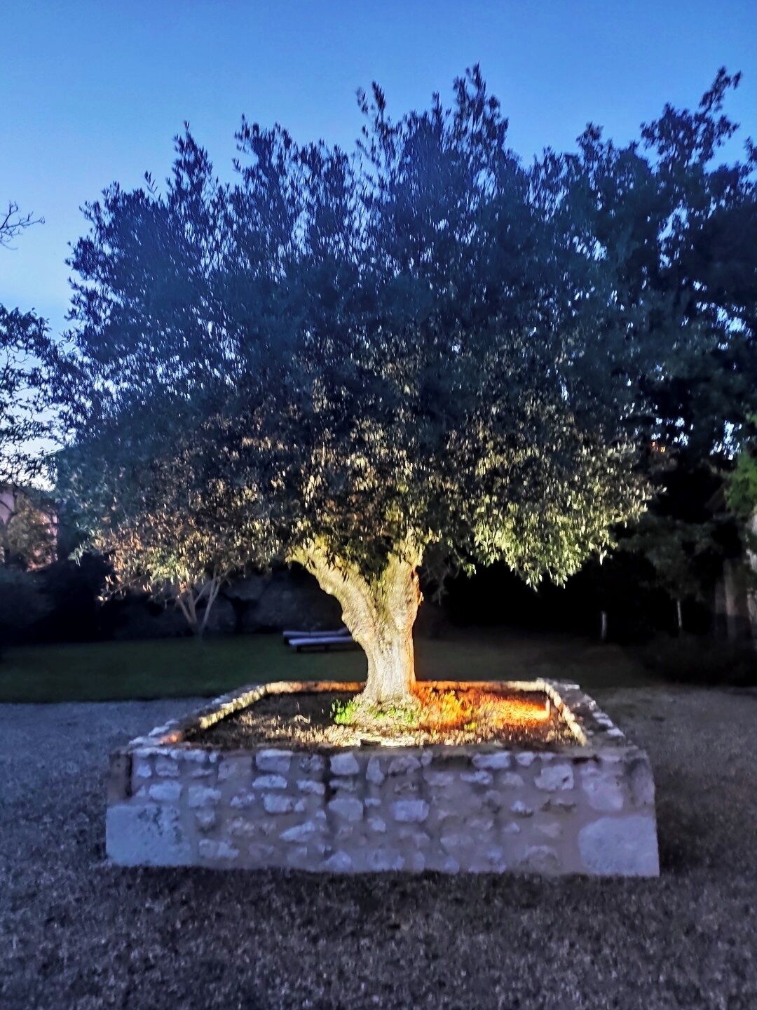 Terrain de l’hébergement 