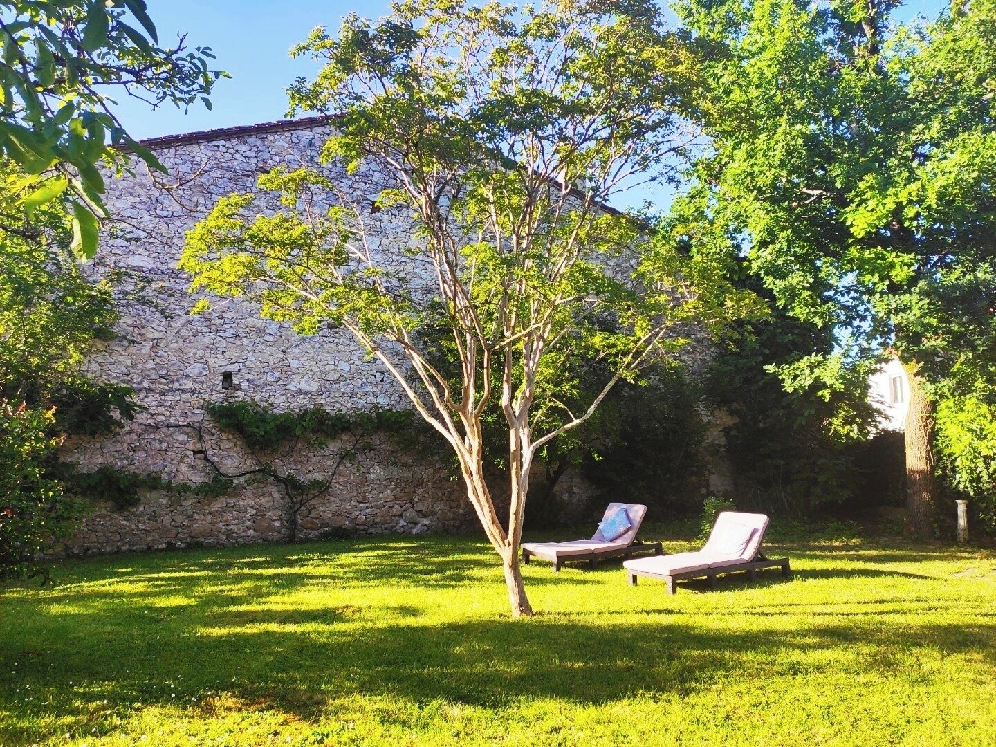 A stone wall with a tree in front of a building. There are two lounge chairs in the grass.