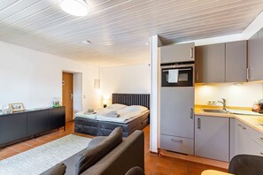 A compact room with a bed, a sofa, a kitchenette, and a small dining area.