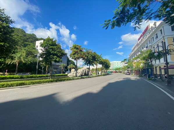 Ampia strada alberata con edifici moderni su un lato e una verde collina sullo sfondo.