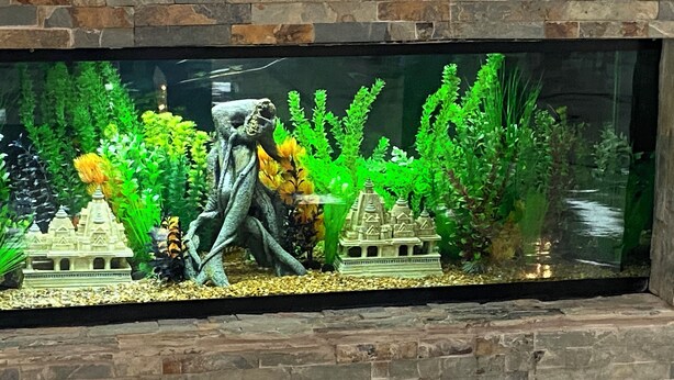 A fish tank with a stone wall, aquatic plants, and a statue. - Amazing Event Space with Ample Parking  (Marietta)