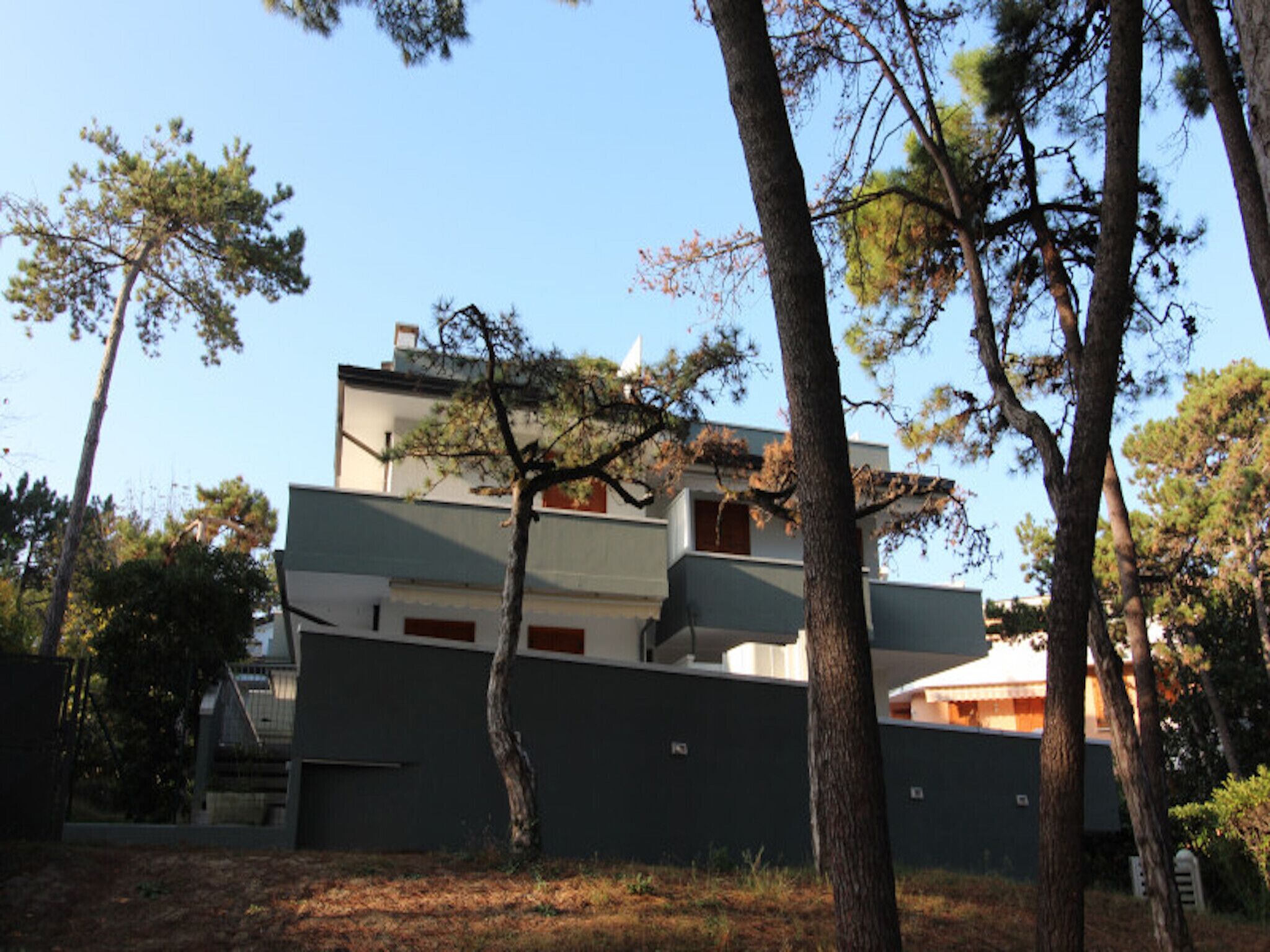 Un bâtiment moderne doté d’un toit plat, d’un escalier apparent et d’un grand arbre au premier plan.