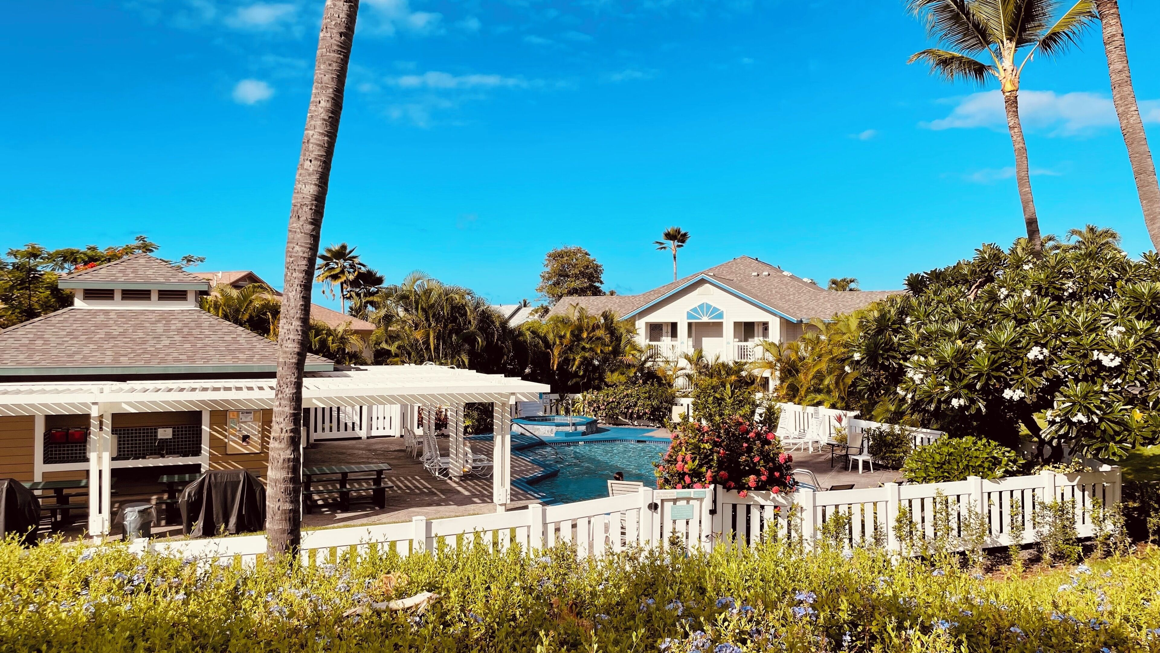 Piscina a l'aire lliure i piscina climatitzada 