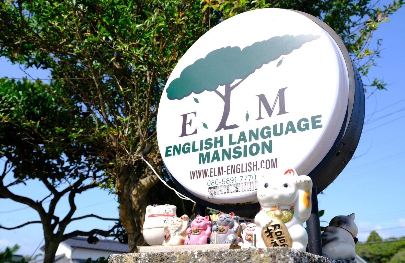 A sign for English Language Mansion with contact information and a website URL.