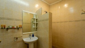 Une salle de bain avec un lavabo, un miroir, une douche et des murs carrelés.