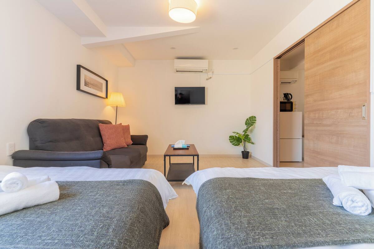 Habitación de hotel con dos camas, un sofá, un televisor, una lámpara, una planta y un armario.