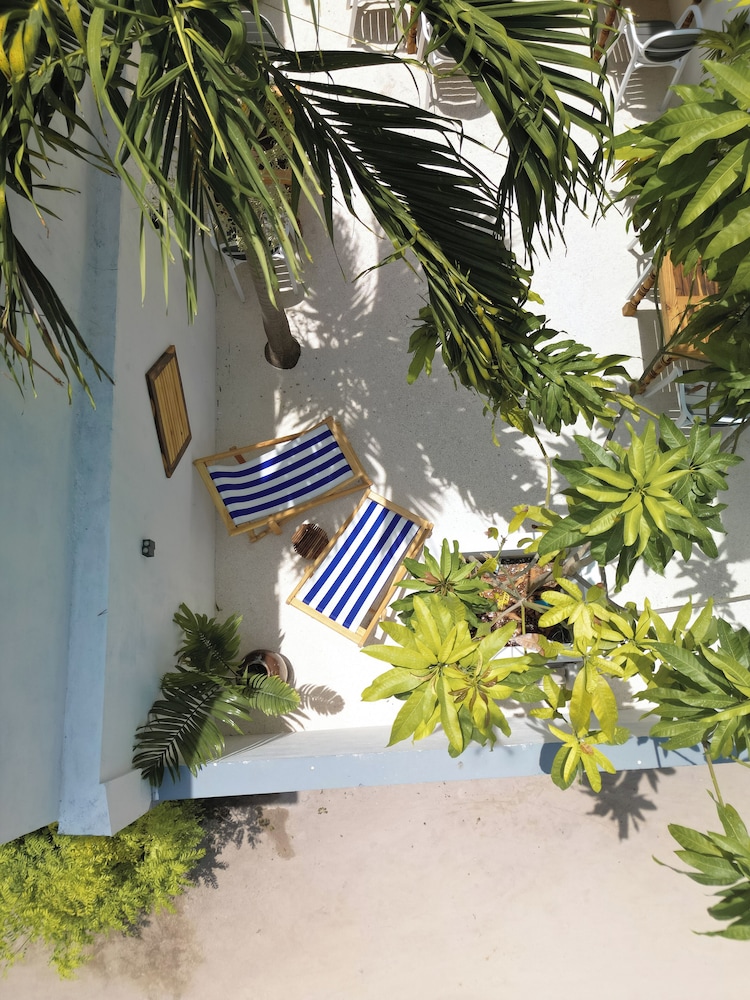 Dhoani Maldives Guesthouse - Bild 4