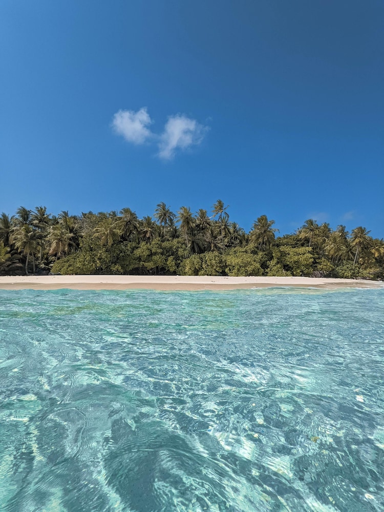 Dhoani Maldives Guesthouse - Bild 3
