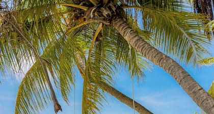 Dhoani Maldives Guesthouse