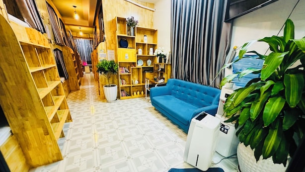 A cozy living area with a blue sofa, wooden shelves, and a potted plant. - The Dorm Tam Toà (Dong Hoi)