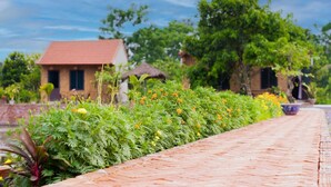 A pathway lined with greenery and small buildings with red roofs. - Tam Coc Cat Luong Homestay (Nam Hoa Lu)