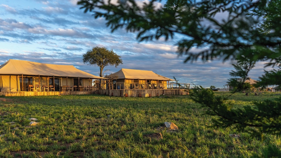 Malaika Luxury Camp Seronera Serengeti
