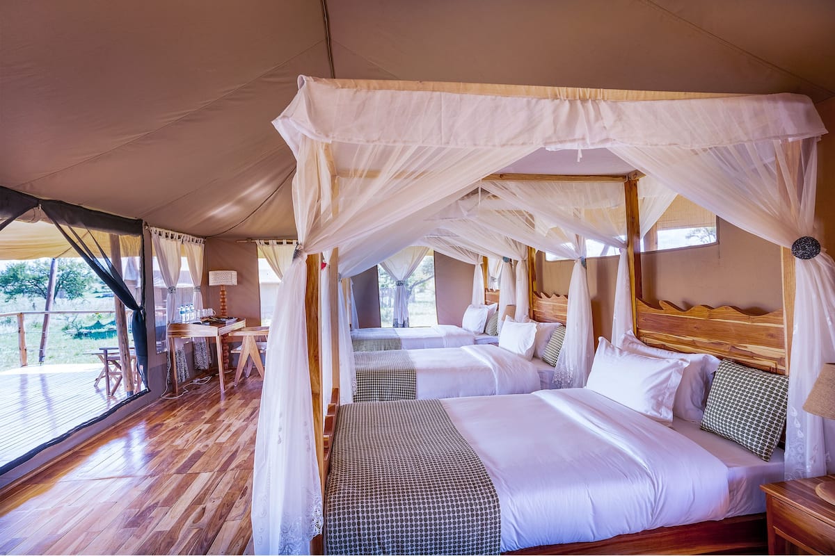 A tented accommodation with two beds, wooden flooring, and a view of the outdoors.