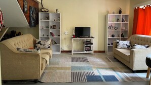 Sala de estar con dos sofás, un televisor y estanterías con diversos objetos.