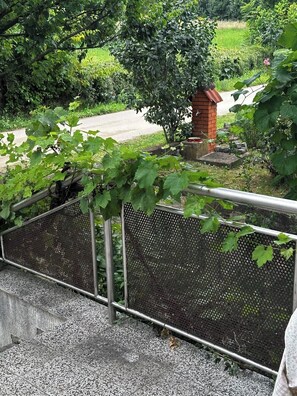 Terrain de l’hébergement 