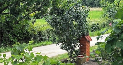 1 Bedroom Apartment in Biebesheim am Rhein