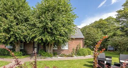 Hier Spielt ein Echter Naturbursche die Erste Geige: Eichenholz