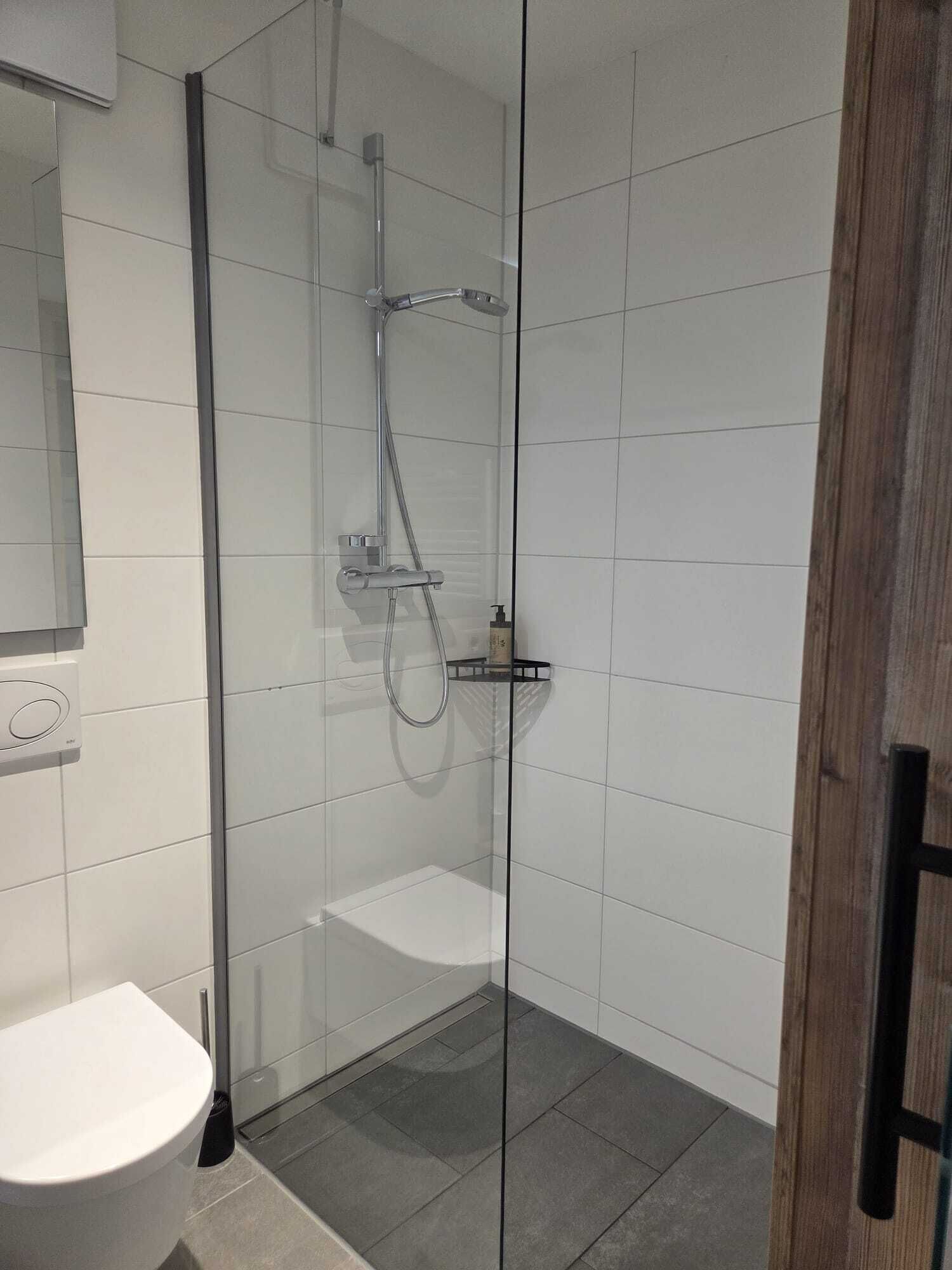 A modern bathroom with a glass shower enclosure, a white toilet, and a wooden door.