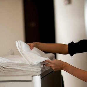 Cleanliness standards