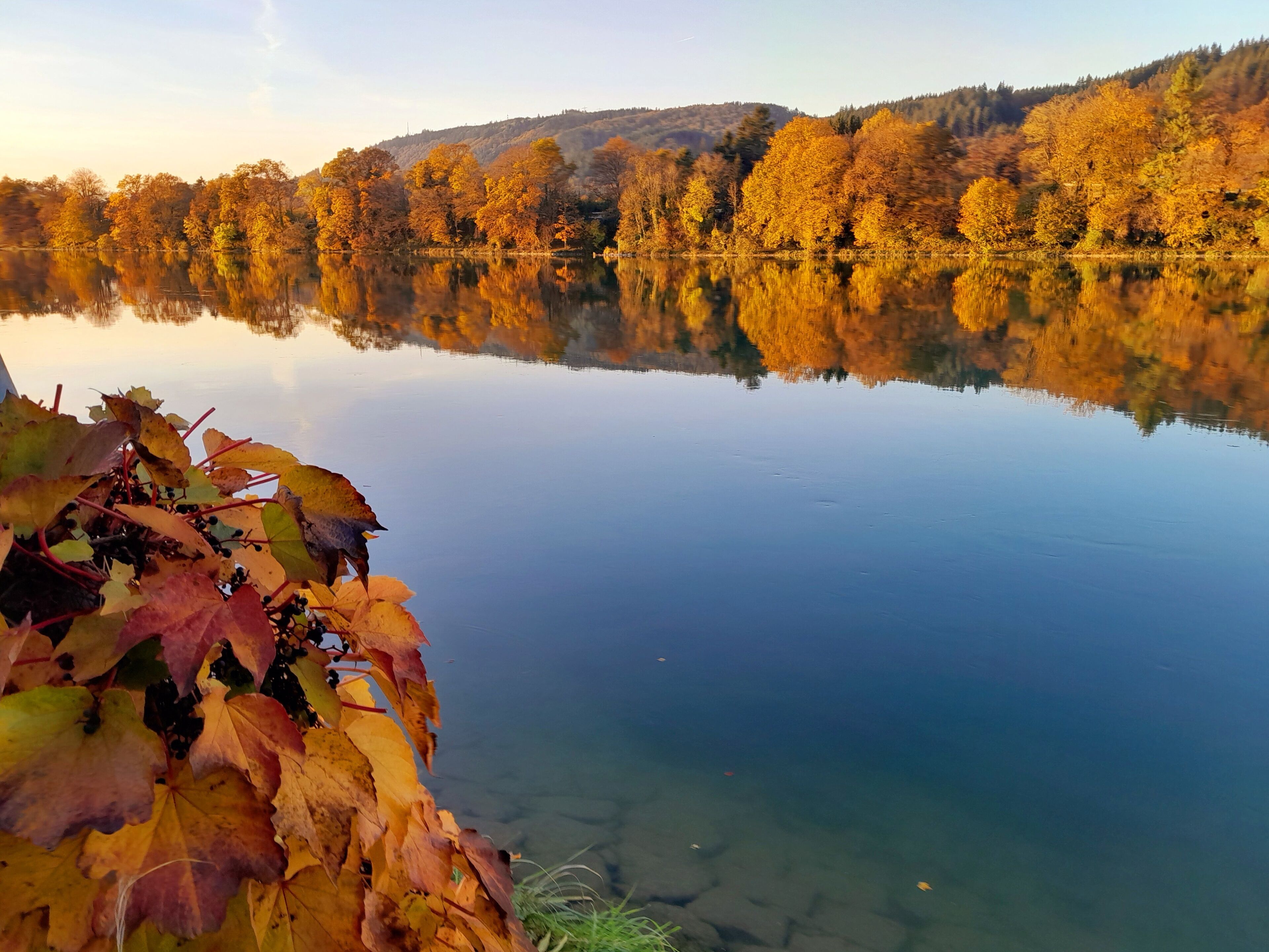 A calm lake with autumn leaves in the foreground and a forested hill in the background.