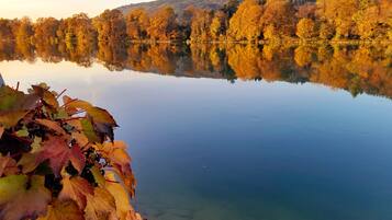 A calm lake with autumn leaves in the foreground and a forested hill in the background.