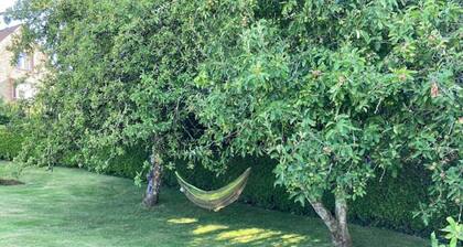 The Funky Pigsty-An adventure pet friendly paradise, Situated in the Wye Valley!
