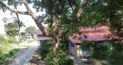 A heritage British bungalow beautifully restored as a homestay near Nainital.