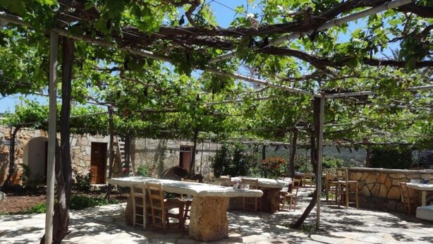 An outdoor patio area with stone tables and chairs, surrounded by greenery and a stone wall. - Gracelands Emba Cypriot Village Life (Emba)