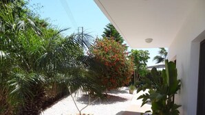 A pathway lined with palm trees and a flowering bush, leading to a building with a white exterior and a tiled floor. - Gracelands Emba Cypriot Village Life (Emba)