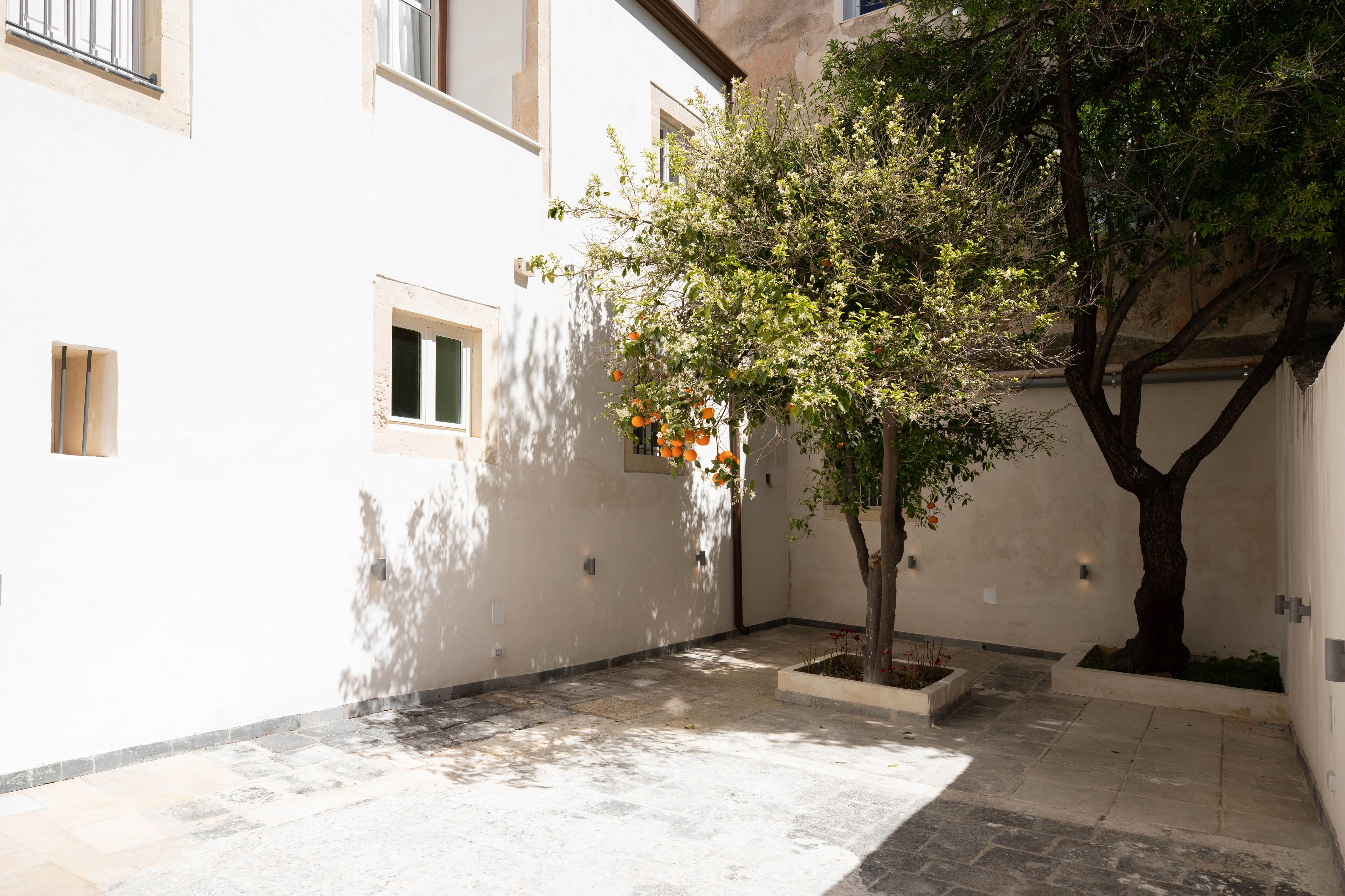 Un patio con un árbol y una maceta pequeña, suelo de baldosas y un edificio blanco con ventanas.