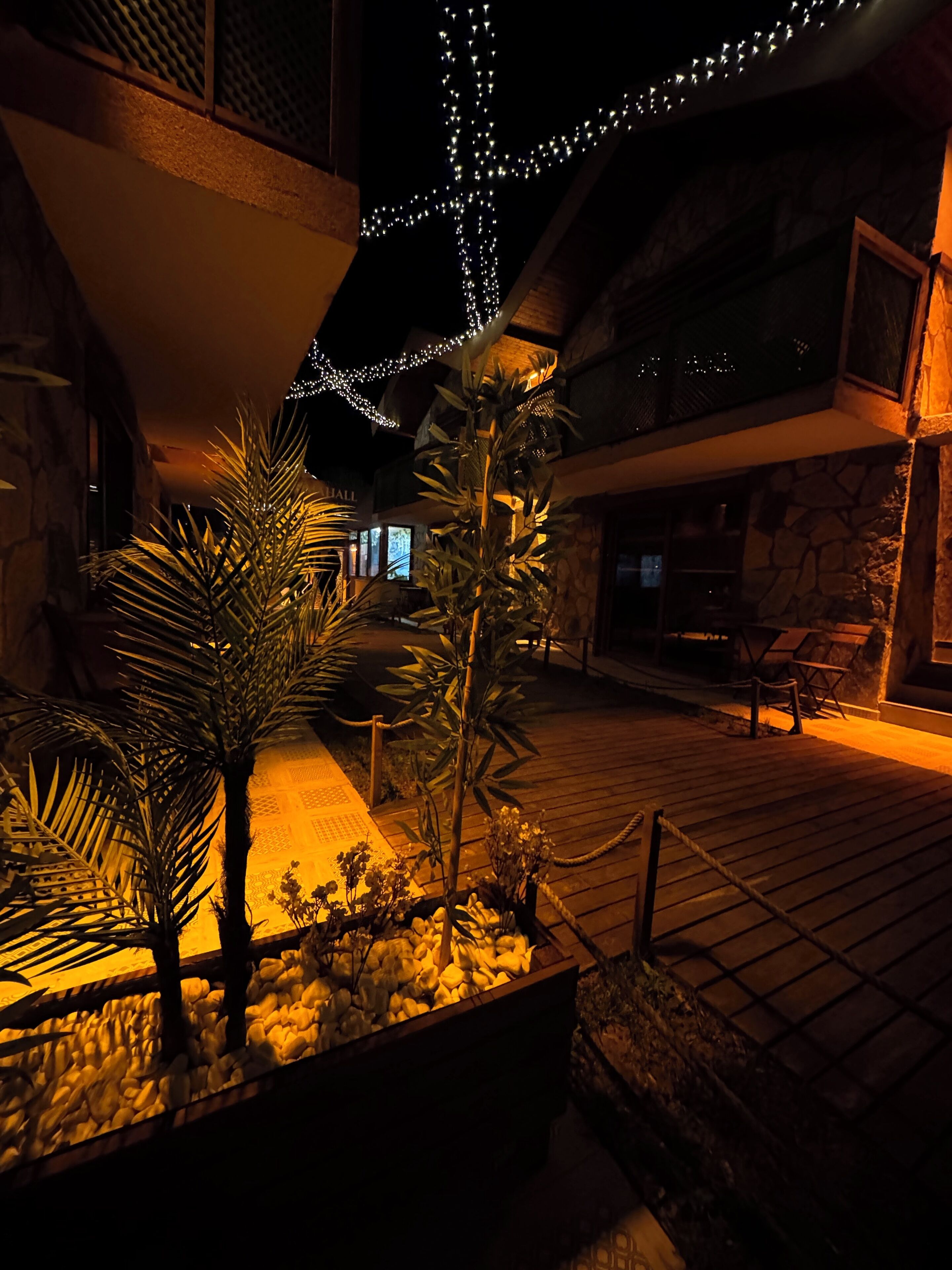 A courtyard with a palm tree, a wooden bench, and a stone wall.