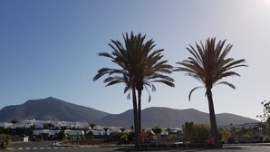 Un pueblo costero con edificios blancos, palmeras y una montaña al fondo.