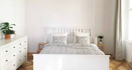 A renovated old-fashioned apartment full of light 5 min from the Charles Bridge.