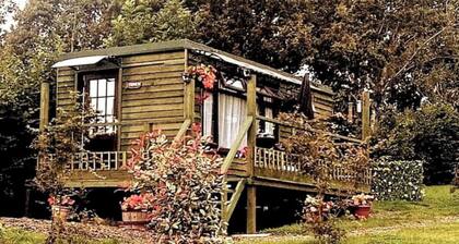 Peaceful en-suite cabin all mod cons. Close to and overlooking our fishing lake.