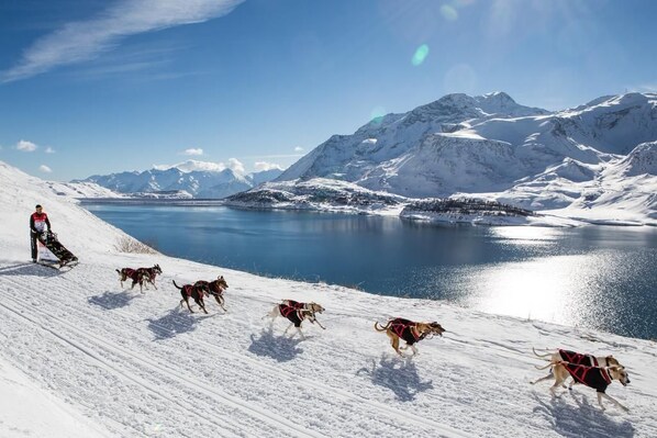 A snowy landscape with a person and dogs sledding down a slope towards a lake, surrounded by mountains.