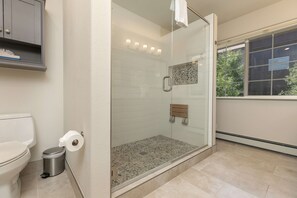 Combined shower/tub, hair dryer