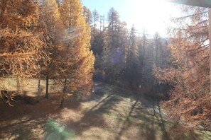 Ein bewaldetes Gebiet mit einem Feldweg.