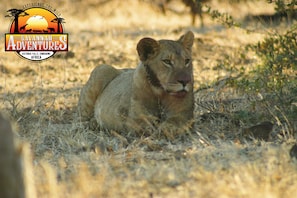 Shared Dormitory, 1 Bedroom, Accessible, Balcony | Miscellaneous