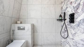 Shower, hair dryer, bidet, towels