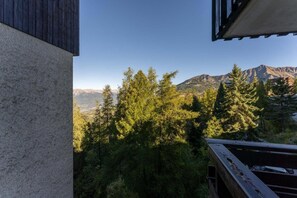 Property grounds - 100m from resort center, 8th floor, balcony, tv, ski locker, 17m², Les Orres (Les Orres)
