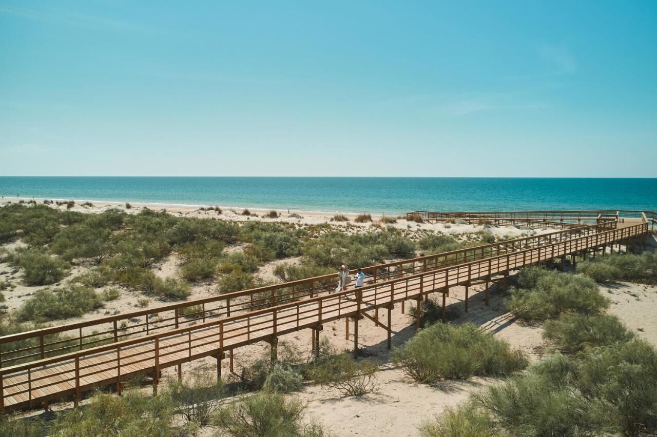 A wooden boardwalk leading to a beach with sparse vegetation and clear skies.