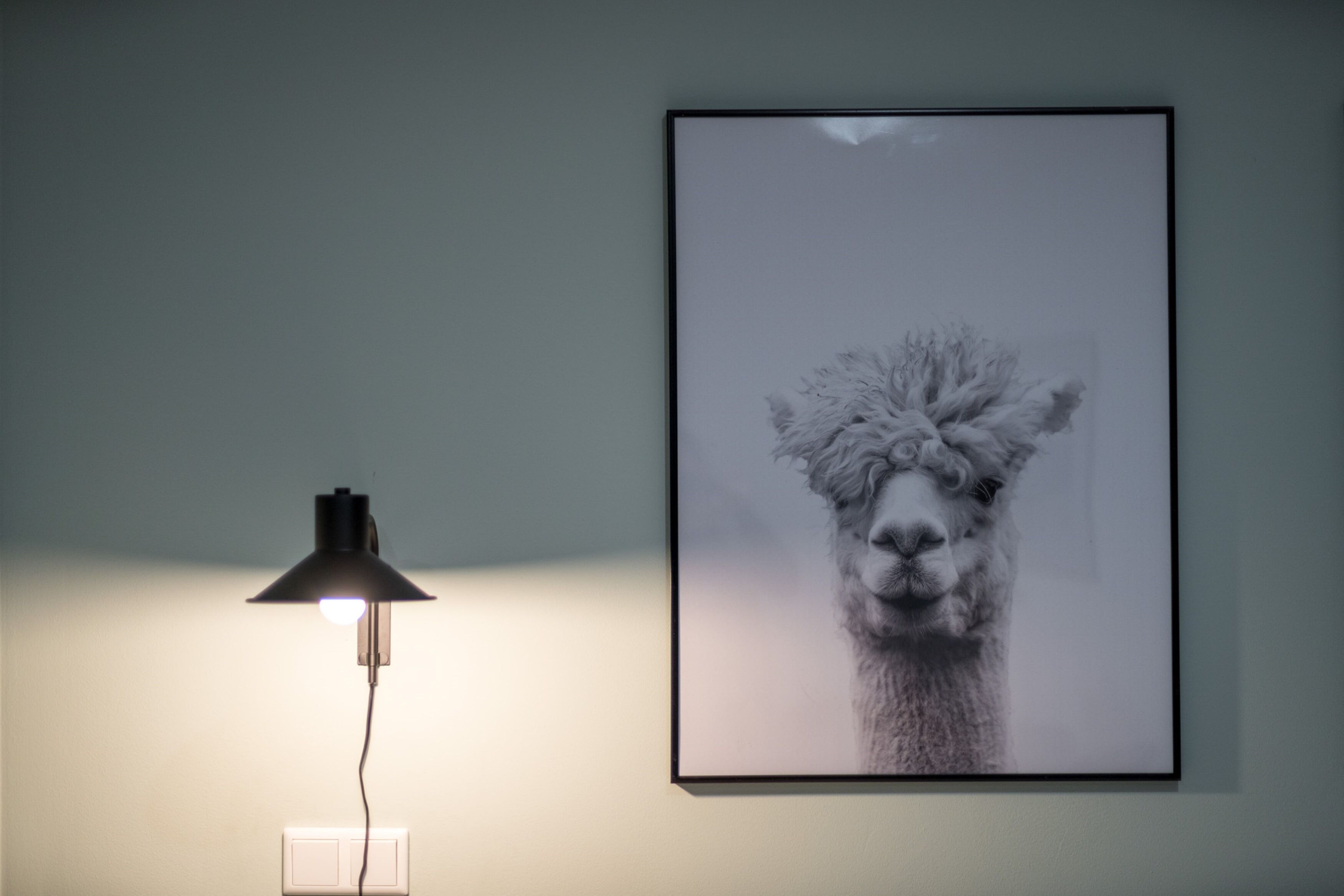 A framed photograph of an animal on the wall, a lamp with a white base and black shade, and a switch on the wall.