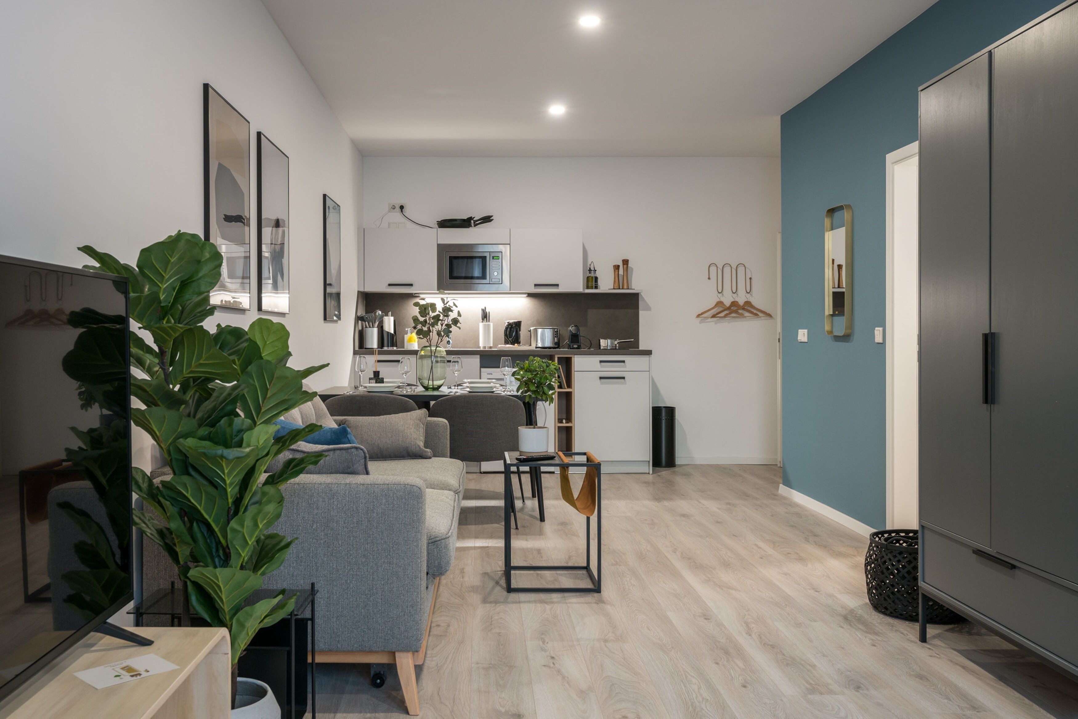 A modern living room with a grey sofa, a coffee table, and a large green plant.