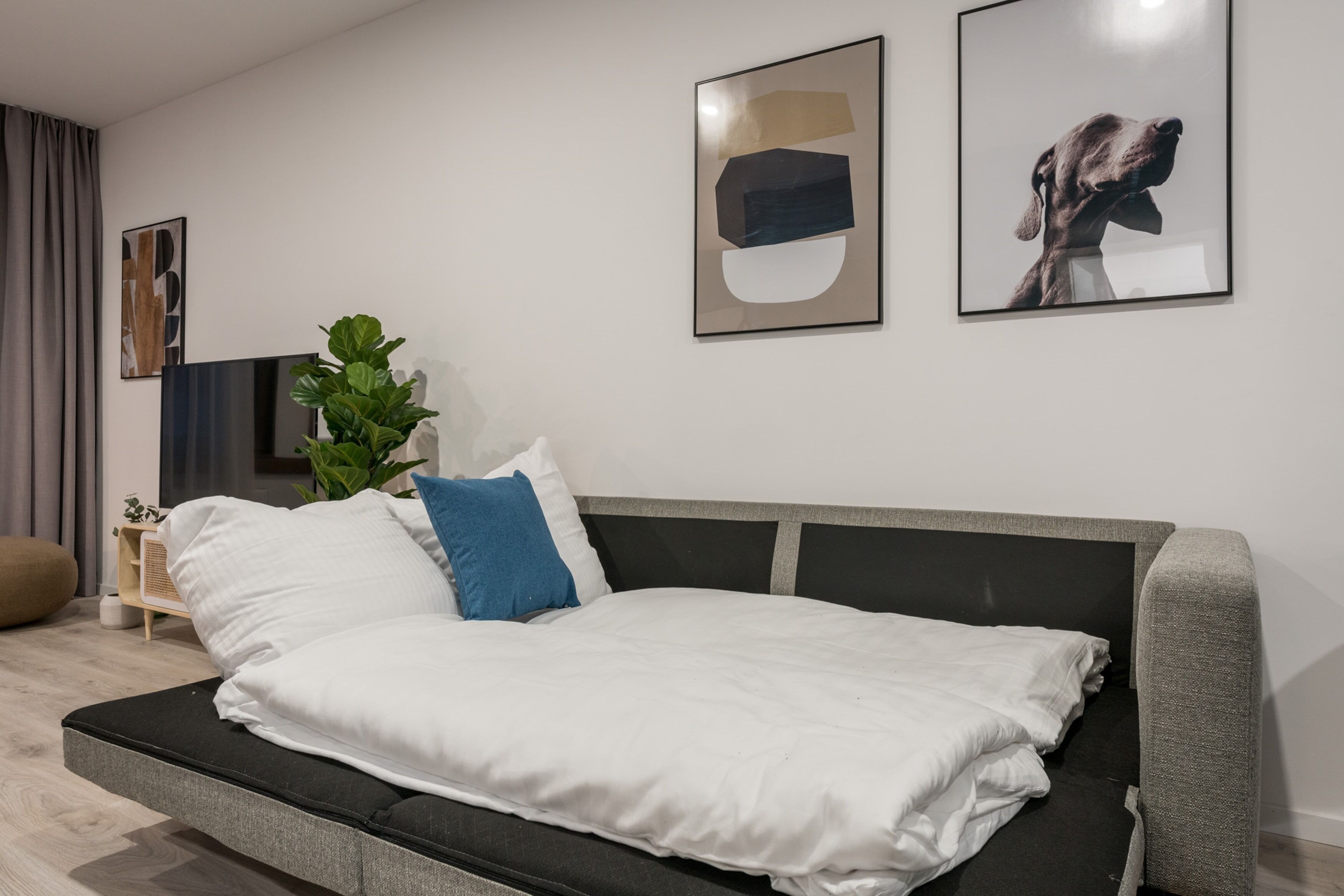A modern living room with a sofa bed, a flat-screen TV, and artwork on the wall.