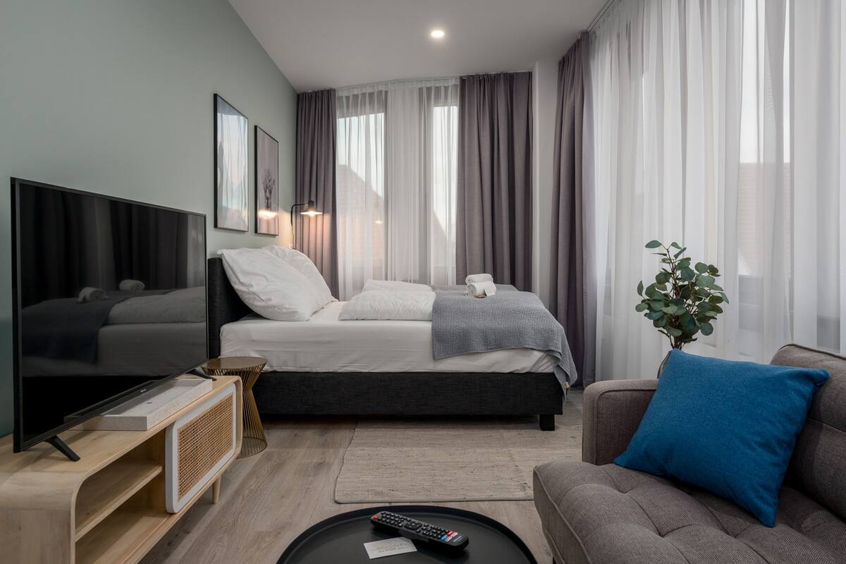 Een moderne slaapkamer met een bed, een televisie, een bank en een plant.