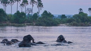 Uklassifisert bilde, 3 av 13, knapp