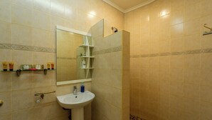 Une salle de bain avec un lavabo, un miroir, une douche et des murs carrelés.